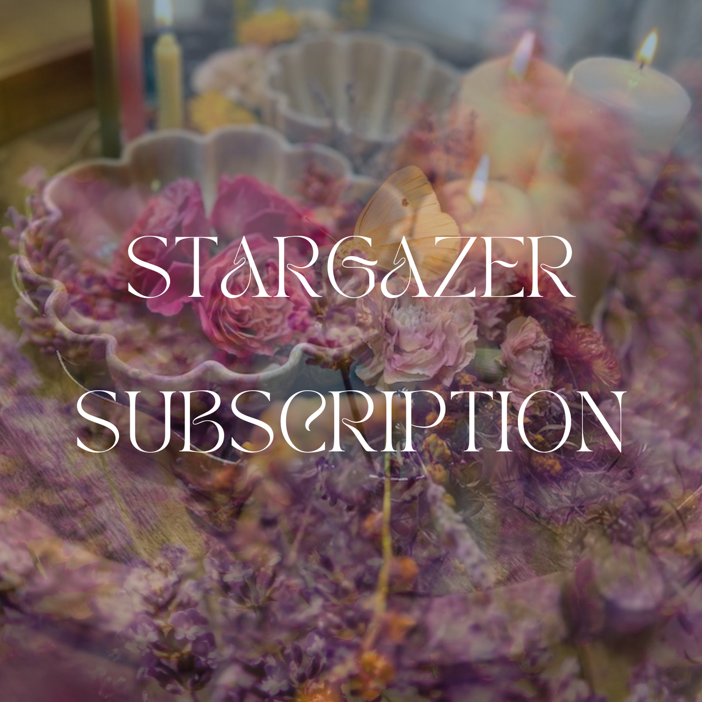 STARGAZER PACKAGE